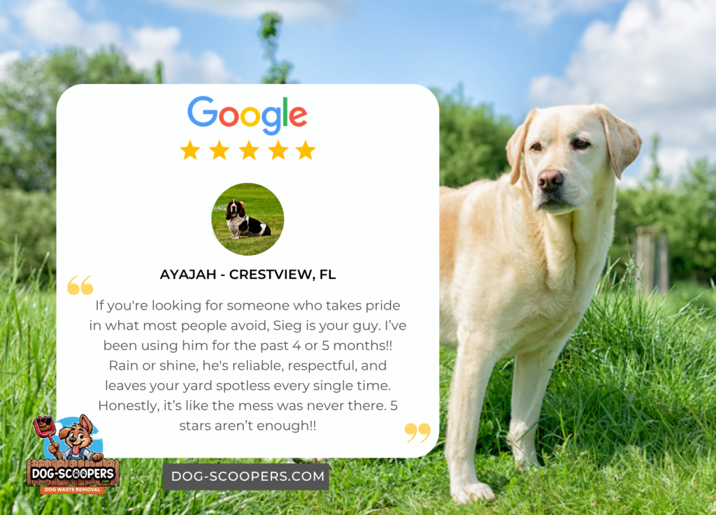 Dog Waste Removal Near Me