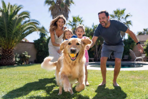 Dog Waste Removal Near Me